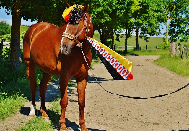 开云：颁奖现场！熊诗芮、张小楠包揽亚冬会单板滑雪女子大跳台金银牌环球时报-环球网.